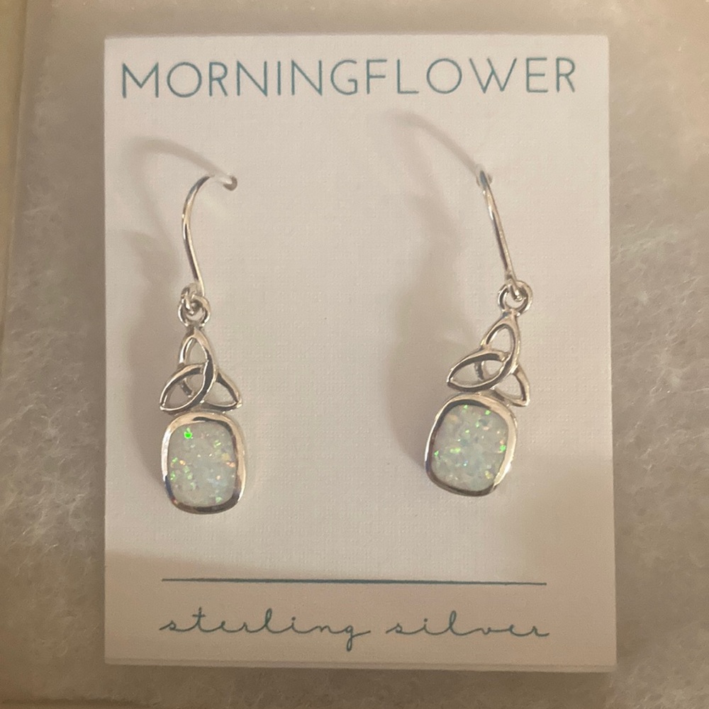 NEVER WORN earrings